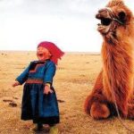 camel and baby laughing