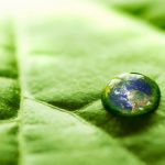 earthraindroponleaf